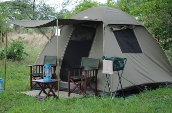 4 Days Budget Tanzania Safari – Tarangire & Ngorongoro